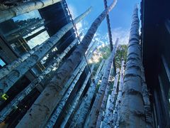 -Metal hands·铁手咖啡