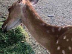 -安德鲁户外烧烤帐篷营地(马泉营店)