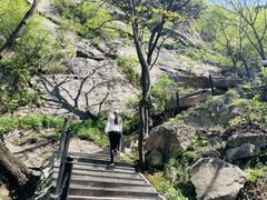 -王顺山国家森林公园