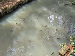 -海南热带野生动植物园