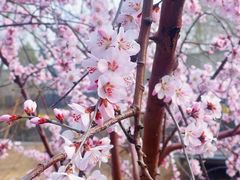 -安定门(地铁站)