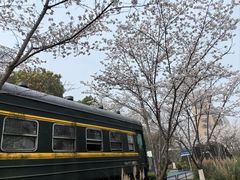 -新天地活力PARK