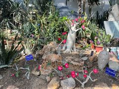 -国家植物园南园