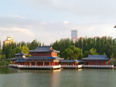 -雁滩公园