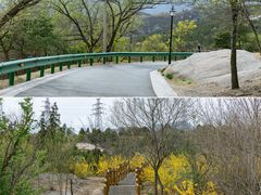 -白水寺森林公园