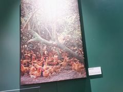 -烹然四季椰子鸡火锅(姚家园万象汇店)