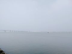 -大湾区中央湿地公园