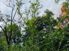 -济南野生动物世界