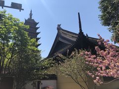 -常熟方塔园