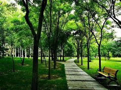 -森林公园(尖草坪区)