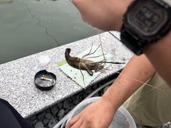 -DGE季风钓虾营地·团建·聚会
