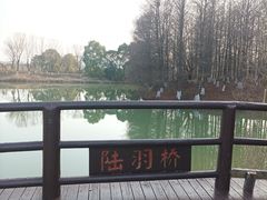 -苏州太湖国家湿地公园