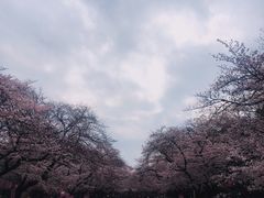 -东京国立博物馆