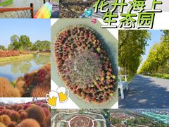 -花开海上生态园