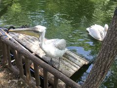 -济南野生动物世界