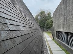 -美丽洲堂