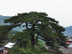 -妙峰山风景名胜区