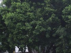 -张钰强中医正骨推拿连锁(唐家人才公寓店)