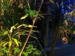 -庄子梦然·城市微度假·24h按摩·推拿·spa