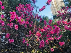 -森林公园(尖草坪区)