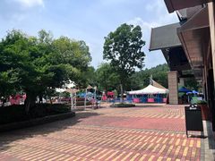 -苏州乐园森林水世界