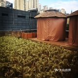香照园金三罐老抎酸菜牛肉火锅