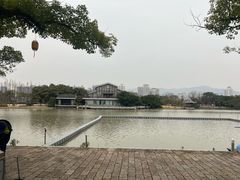 -江心屿景区