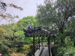-上海醉白池公园