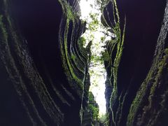 -梭布垭石林景区