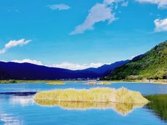 -腾冲北海湿地