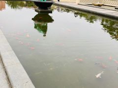 -西双版纳融创皇冠假日度假酒店