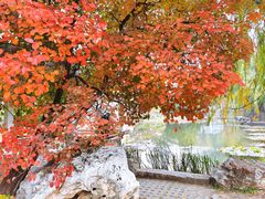 -国家植物园南园