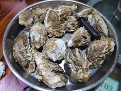 生蚝-石岐乳鸽村(南海第三分店)