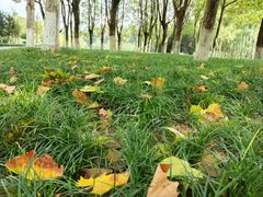 -重庆中央公园(渝北区)