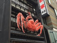 -蟹料理 北海道かに将軍(札幌本店)