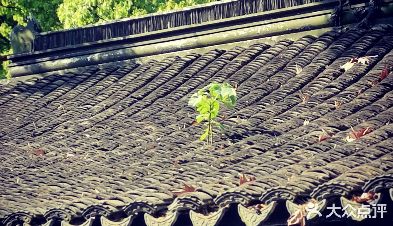 徐家汇光启公园