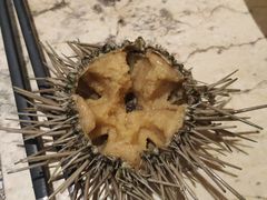 -雍和会海鲜姿造自助(湖东路店)