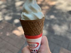 -富豪雪糕车流动点(尖沙咀店)