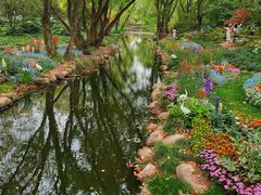 -上海共青森林公园