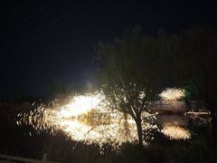-淄博花灯齐彩城