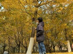 -长白岛森林公园