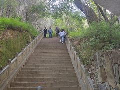 -蝴蝶泉公园
