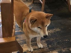-三目仓咖啡(贤南路店)