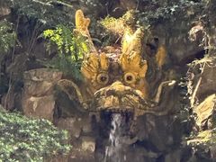 -杭州黄龙洞