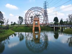 -王借岗森林公园