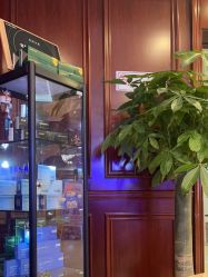 -南京医科大学友谊整形外科医院