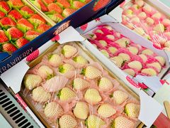 -盒马X会员店(上海森兰商都店)