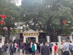 -长洲岛