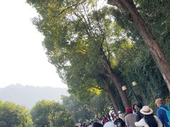 -白帝城·瞿塘峡景区