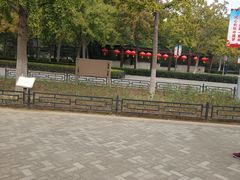 -大兴滨河森林公园